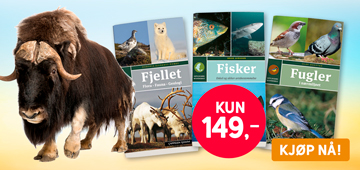 Naturhåndbøker - KUN 149 - i Barnas Egen Bokverden