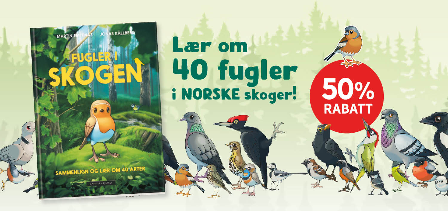 Fugler i skogen i Barnas Egen Bokverden