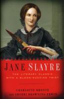 Jane Slayre av Sherri Browning Erwin og Charlotte Brontë (Heftet)