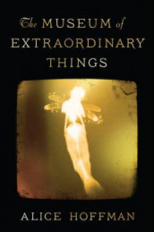 The museum of extraordinary things av Alice Hoffman (Heftet)