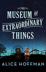 The museum of extraoridnary things av Alice Hoffman (Heftet)