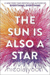 The sun is also a star av Nicola Yoon (Heftet)