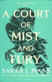 A court of mist and fury av Sarah J. Maas (Heftet)