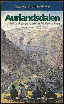 Aurlandsdalen av Tron Bach (Heftet)