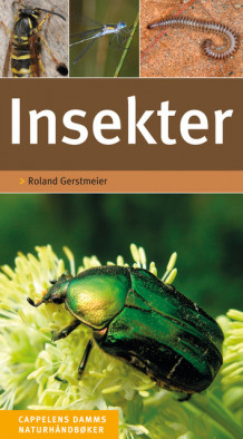 Insekter av Roland Gerstmeier (Fleksibind)