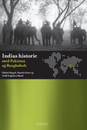 Indias historie med Pakistan og Bangladesh av Eldrid Mageli, Pamela Gwynne Price og Arild Engelsen Ruud (Heftet)