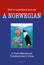 How to understand and use a Norwegian av Odd Børretzen (Heftet)