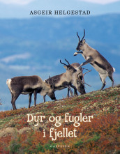 Dyr og fugler i fjellet av Asgeir Helgestad (Innbundet)