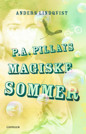 P.A. Pillays magiske sommer av Anders Lindqvist (Innbundet)
