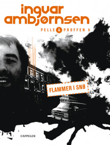 Flammer i snø av Ingvar Ambjørnsen (Heftet)