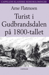Turist i Gudbrandsdalen på 1800-tallet av Arne Flatmoen (Innbundet)