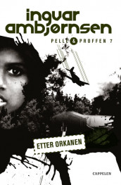 Etter orkanen av Ingvar Ambjørnsen (Heftet)