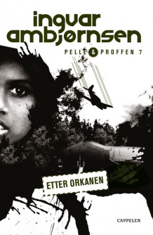 Etter orkanen av Ingvar Ambjørnsen (Heftet)