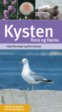 Kysten - flora og fauna av Kjetil Bevanger (Fleksibind)