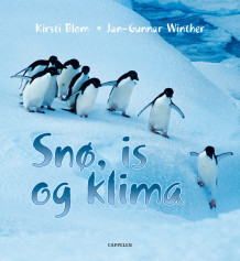 Snø, is og klima av Kirsti Blom (Innbundet)