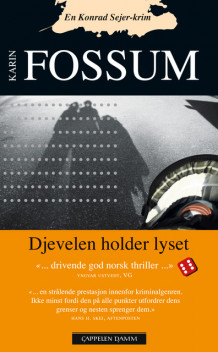 Djevelen holder lyset av Karin Fossum (Ebok)