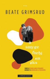 Å smyge forbi en øks av Beate Grimsrud (Ebok)