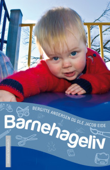 Barnehageliv av Bergitte Andersen (Heftet)
