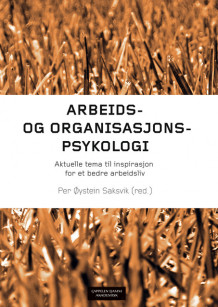 Arbeids- og organisasjonspsykologi av Marte Pettersen Buvik, Marit Christensen, Ingvild Holler Deisz, Trine Elaine Eiken, Fay Giæver, Geir Guttormsen, Øivind Hagen, Tove Helland Hammer, Anne Iversen, Eva Langvik, Karin Laumann, Hilmar Nordvik, Kjell Nytrø, Lars Edgar Onsøyen, Per Øystein Saksvik, Trygve Steiro, Morten Thorsen, Sylvi Thun og Sturle Danielsen Tvedt (Heftet)