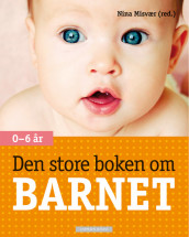 Den store boken om barnet av Nina Misvær (Innbundet)