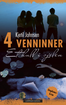 4 Venninner 1: Et hull i sjelen av Kjetil Johnsen (Innbundet)