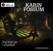 Jeg kan se i mørket av Karin Fossum (Lydbok MP3-CD)