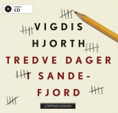 Tredve dager i Sandefjord av Vigdis Hjorth (Lydbok-CD)