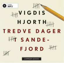 Tredve dager i Sandefjord av Vigdis Hjorth (Nedlastbar lydbok)