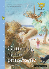 Damms leseunivers 2 Opplevelse: Gutten og de tre prinsessene av Inger Strömsten (Heftet)