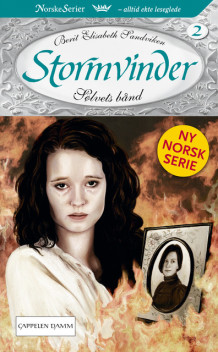 Sølvets bånd av Berit Elisabeth Sandviken (Ebok)