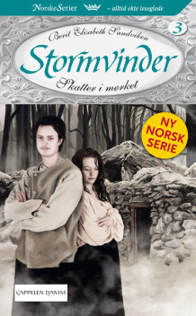 Skatter i mørket av Berit Elisabeth Sandviken (Ebok)