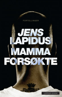 Mamma forsøkte av Jens Lapidus (Innbundet)