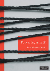 Forvaringsstraff av Birgitte Langset Storvik (Heftet)