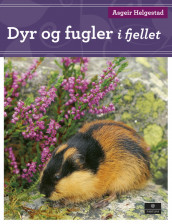 Dyr og fugler i fjellet av Asgeir Helgestad (Innbundet)