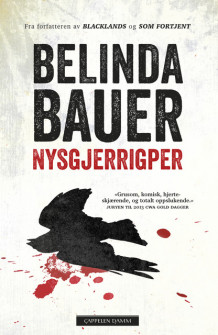 Nysgjerrigper av Belinda Bauer (Innbundet)