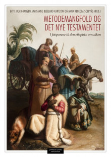 Metodemangfold og Det nye testamentet av Gitte Buch-Hansen, Marianne Bjelland Kartzow og Anna Rebecca Solevåg (Heftet)