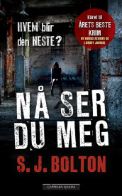 Nå ser du meg av Sharon Bolton (Ebok)