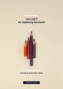 Valget av Ingeborg Senneset (Ebok)