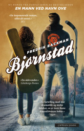 Bjørnstad av Fredrik Backman (Innbundet)