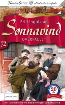 Overfallet av Frid Ingulstad (Ebok)