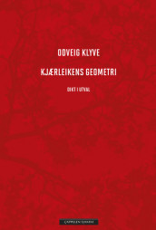 Kjærleikens geometri av Odveig Klyve (Ebok)