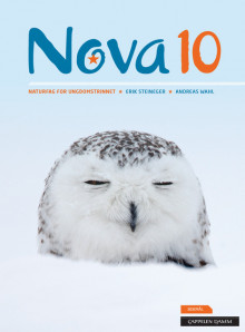 Nova 10 Elevbok av Erik Steineger (Innbundet)