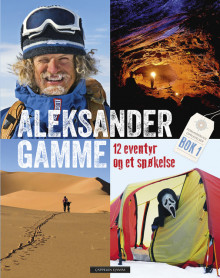 12 eventyr og et spøkelse av Aleksander Gamme (Innbundet)