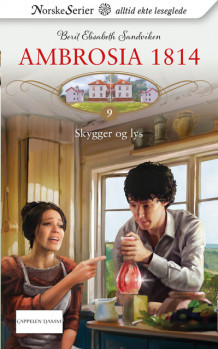 Skygger og lys av Berit Elisabeth Sandviken (Heftet)