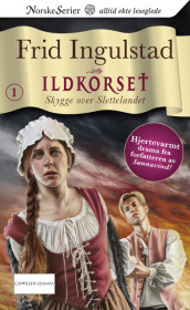 Skygge over Slettelandet av Frid Ingulstad (Ebok)