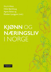 Kjønn og næringsliv i Norge av Gry A. Alsos, Hilde Bjørkhaug, Agnes Bolsø og Elisabet Ljunggren (Heftet)