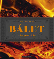 Bålet av Øivind Berg (Innbundet)