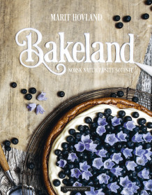 Bakeland av Marit Hovland (Innbundet)