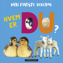 Hvem er du? (Kartonert)