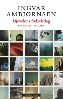 Djevelens fødselsdag av Ingvar Ambjørnsen (Fleksibind)